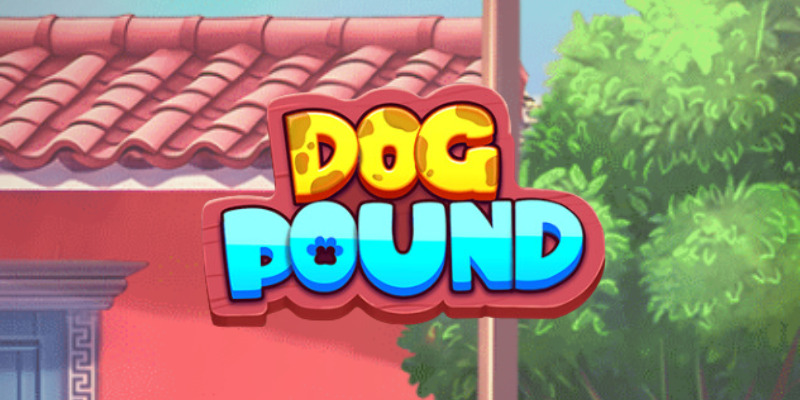 Где поиграть в Dog Pound