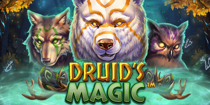 Druid's Magic: погружение в мир лесной магии