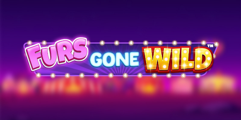 Места для игры в Furs Gone Wild