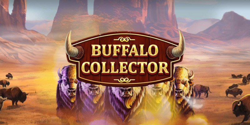 Игра Buffalo Collector: Обзор
