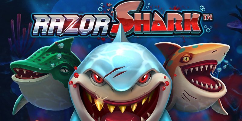 Обзор игры Razor Shark